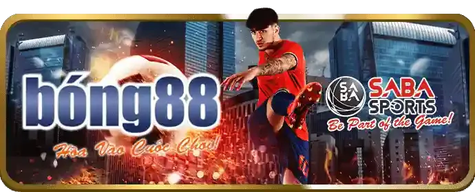 Cá cược bóng đá vwin88
